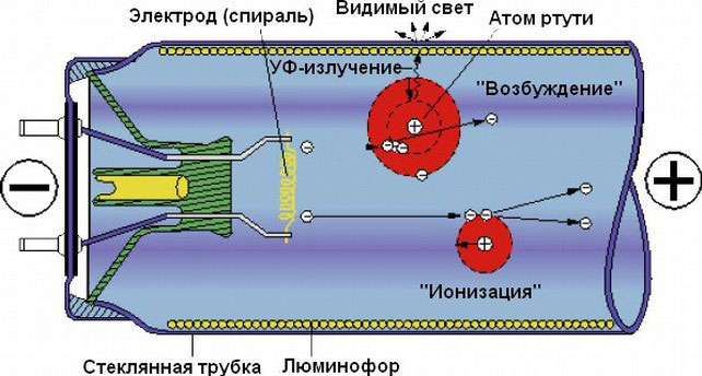 Как спастись от «зайцев». Инструкция по борьбе с ультрафиолетом - 6