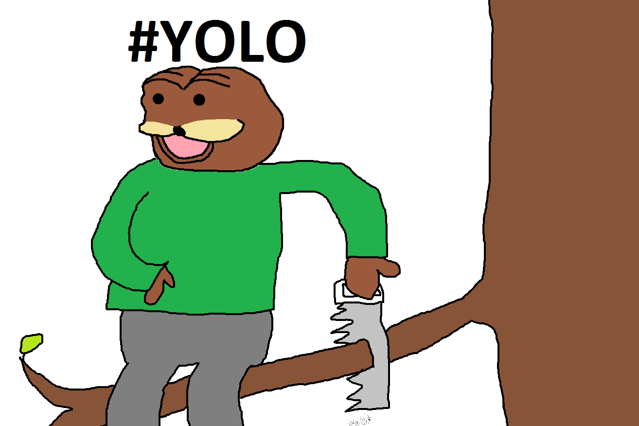 Because #YOLO