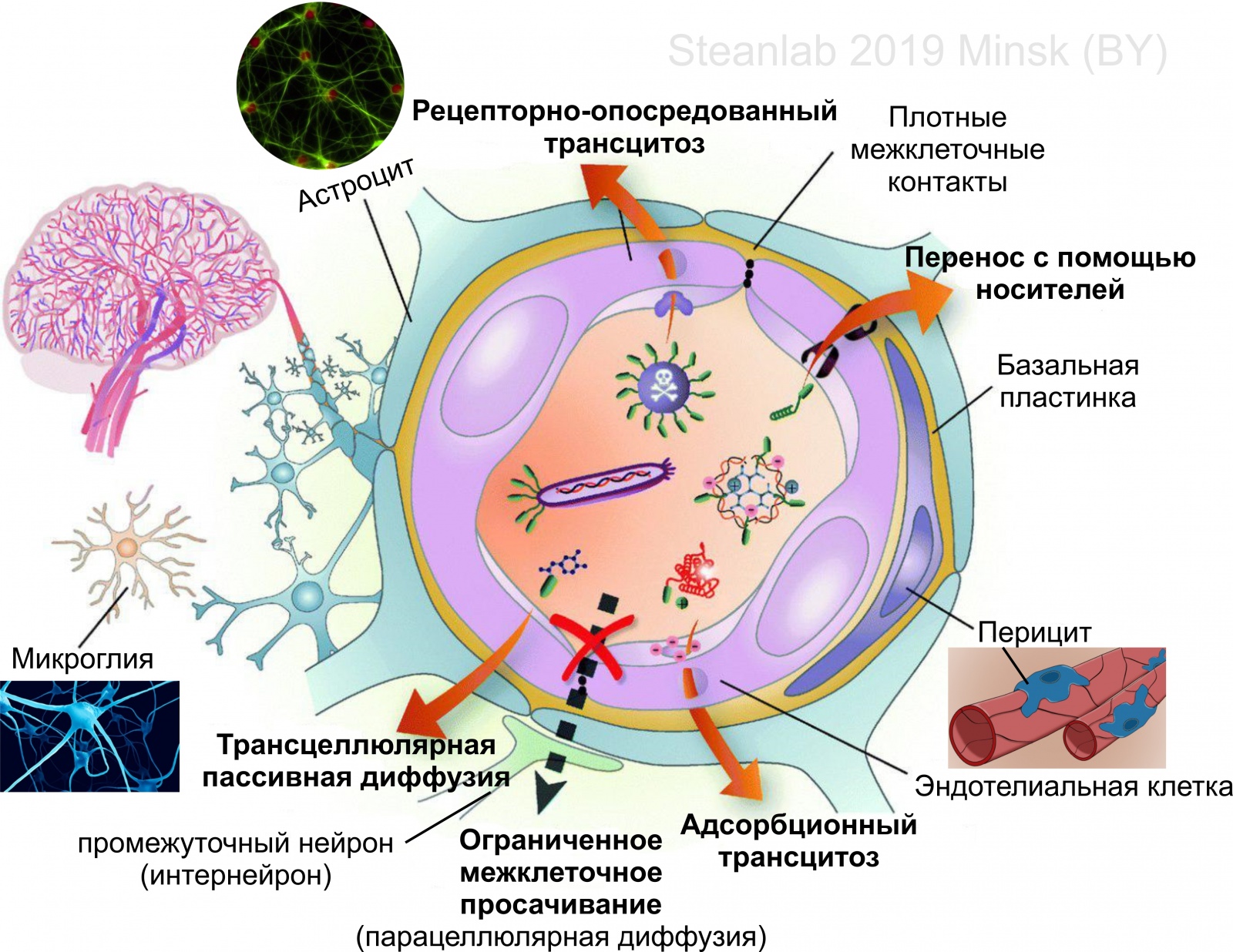 Заметки фитохимика. Закат эпохи хабра-банана - 10