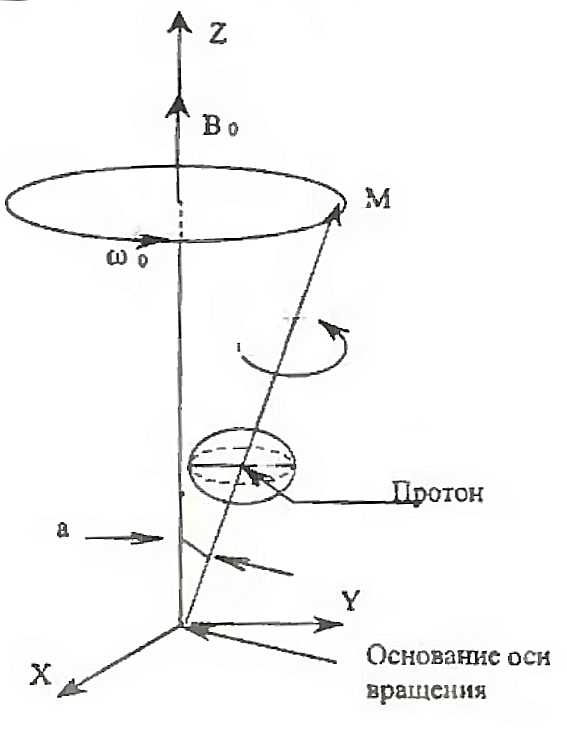 Метод многоядерной МРТ - 3