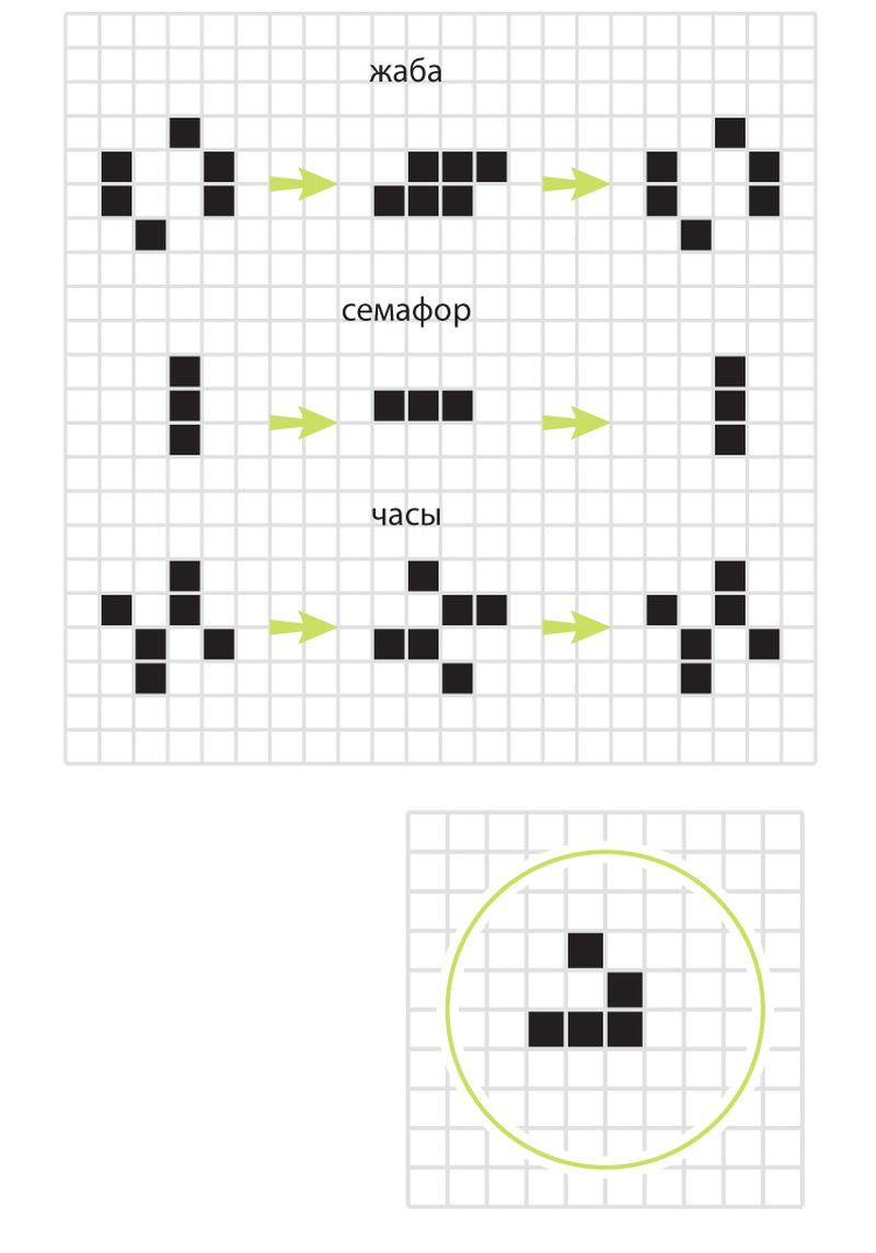 Wireworld клеточный автомат схемы