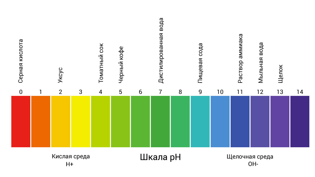 Как начать жить и выращивать салат - 11