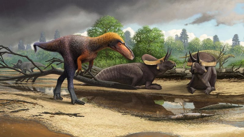Описан новый вид динозавров