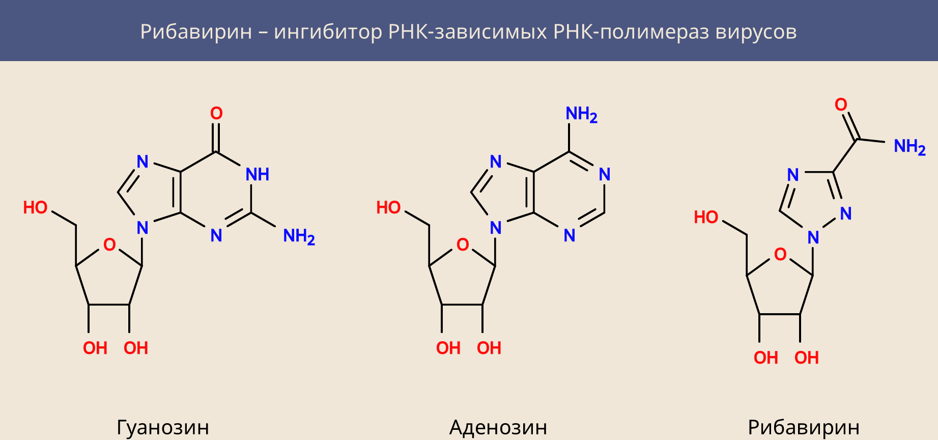 Белки рнк. Рибавирин механизм. Рибавирин структура. Рибавирин механизм действия схема. Механизм действия рибавирина.