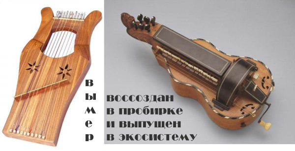 кифара vs колесная лира