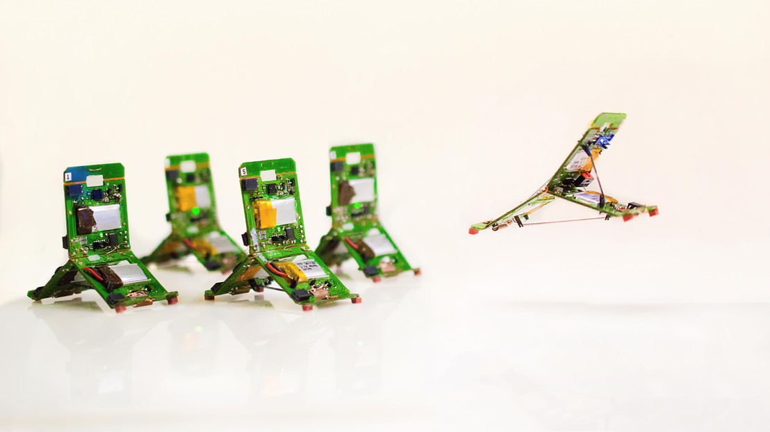 Роботов-муравьев научили прыгать и выполнять командную работу - 1