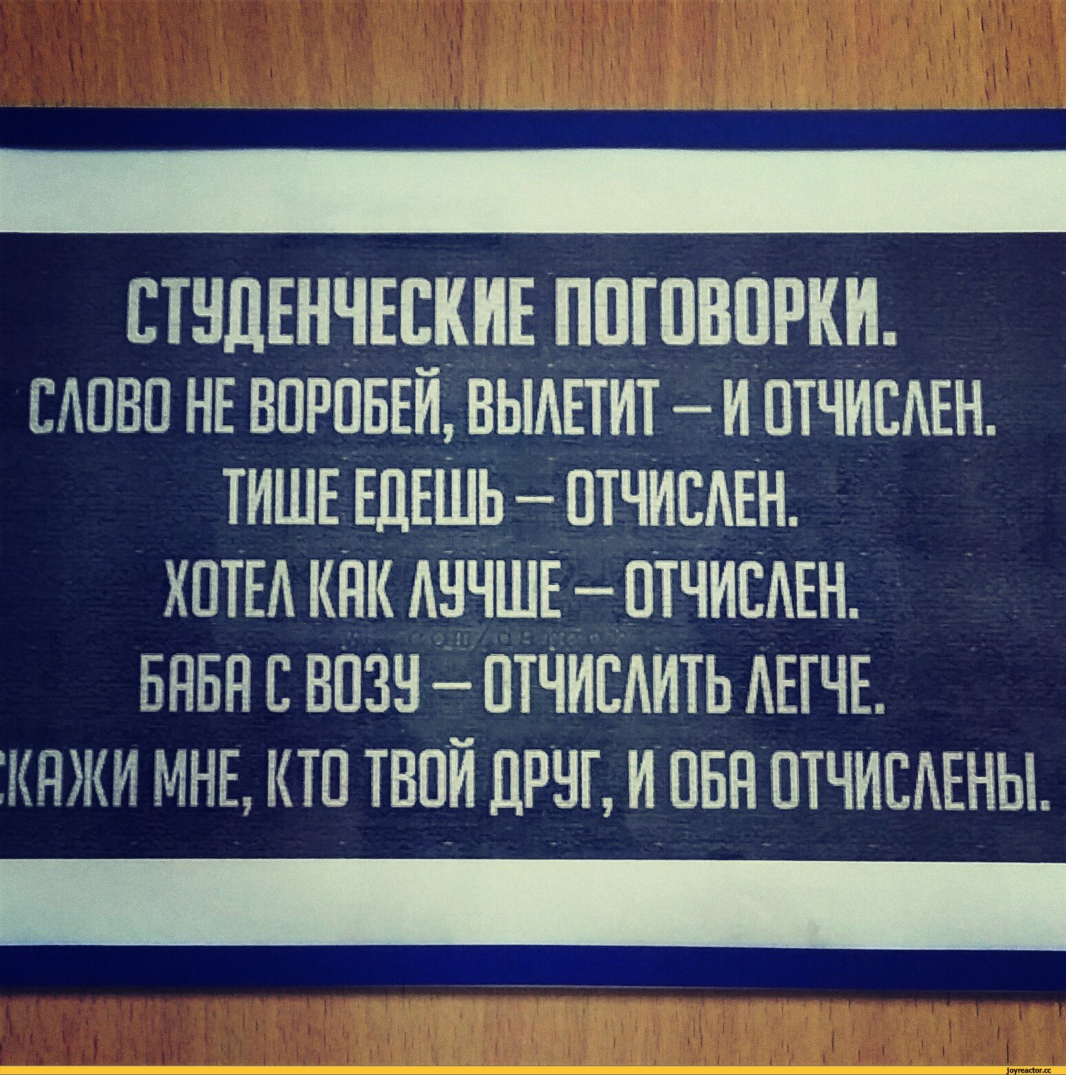 Смешные поговорки. Анекдоты про студентов. Смешные цитаты про студентов. Цитаты про студентов. Смешные фразы про студентов.