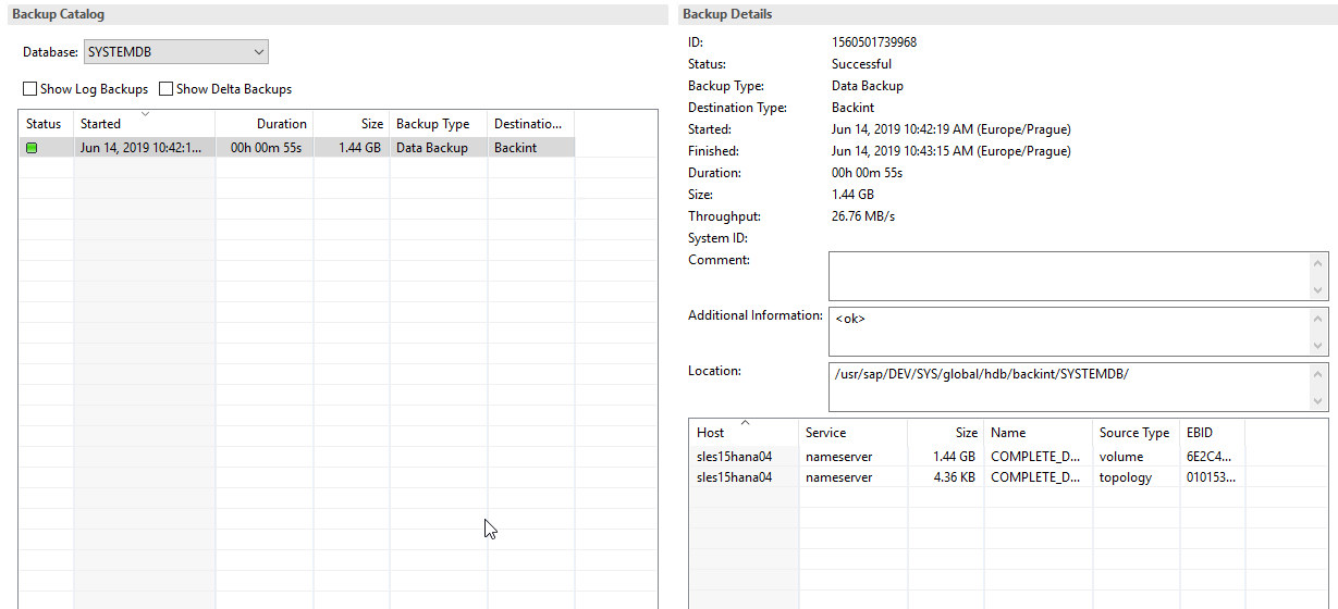 Плагин Veeam для бэкапа и восстановления баз данных SAP HANA - 9