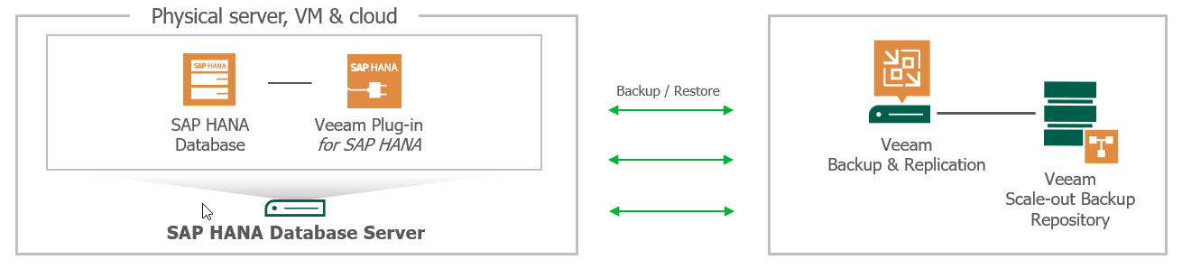 Плагин Veeam для бэкапа и восстановления баз данных SAP HANA - 1