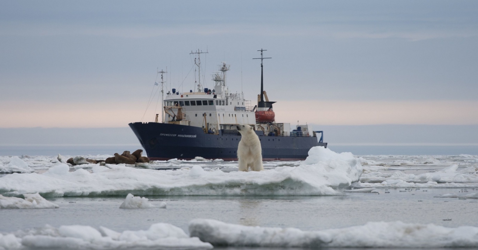 остров белый в карском море