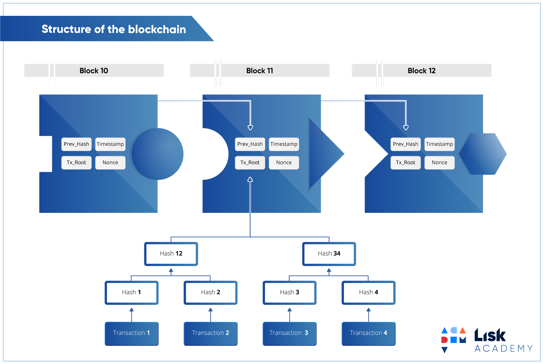 Хэш блокчейн. Структура Blockchain. Блокчейн хэш. Структура блокчейн. Структура блока блокчейн.