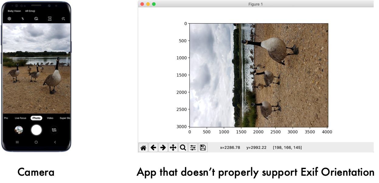 Глупая причина, по которой не работает ваше хитрое приложение машинного зрения: ориентация в EXIF - 5