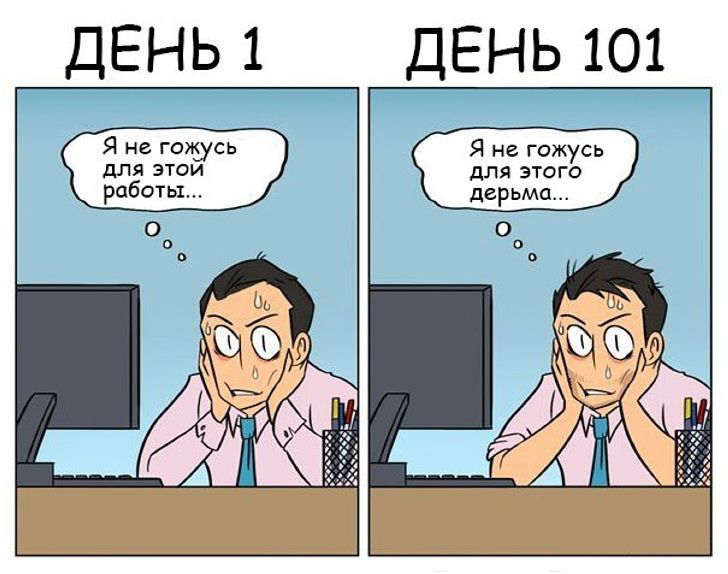 Первый день на работе картинки