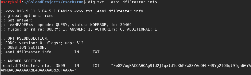 Домен-фронтинг на базе TLS 1.3. Часть 2 - 13