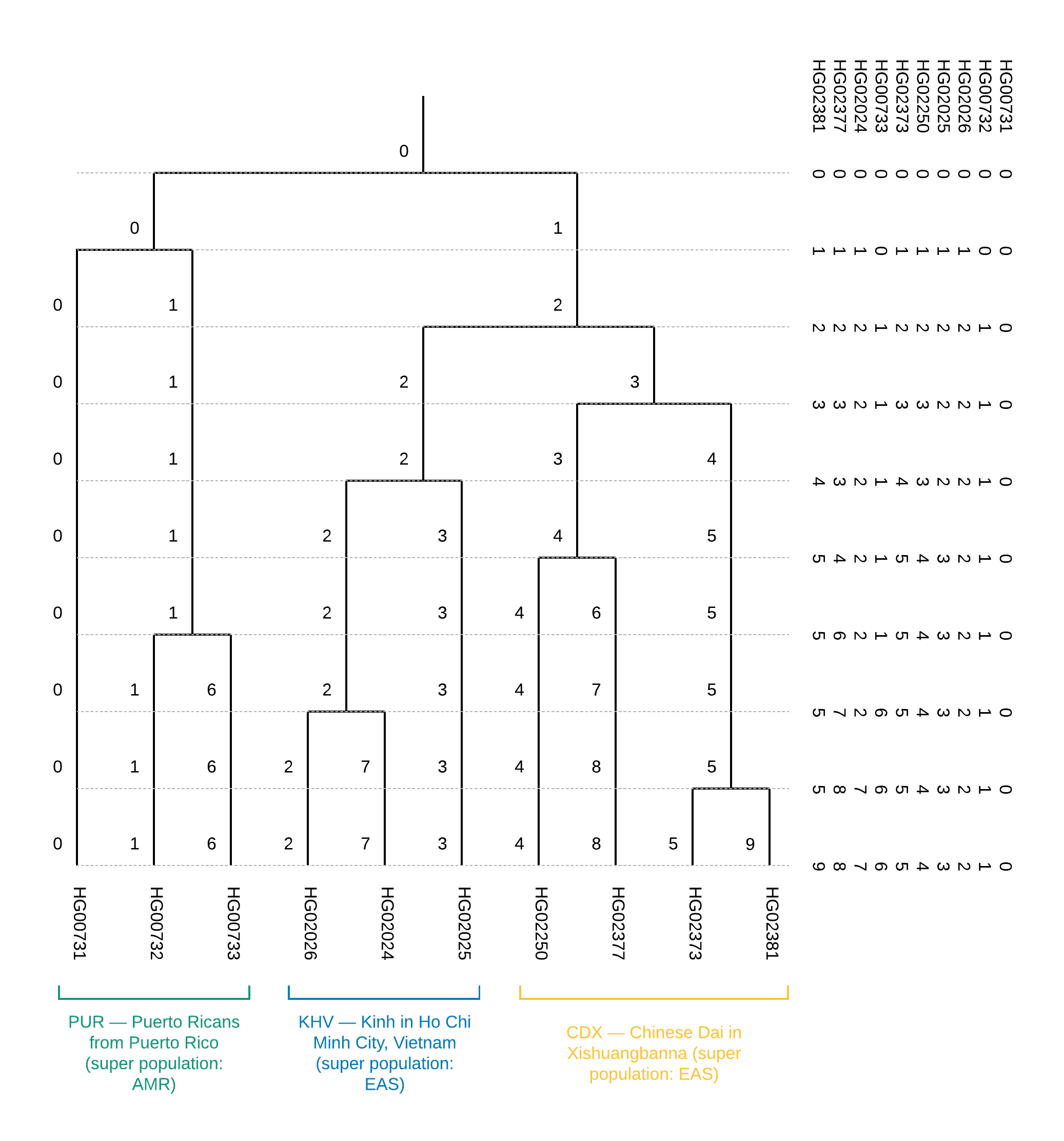 Задача №2. Определение популяционной структуры - 7