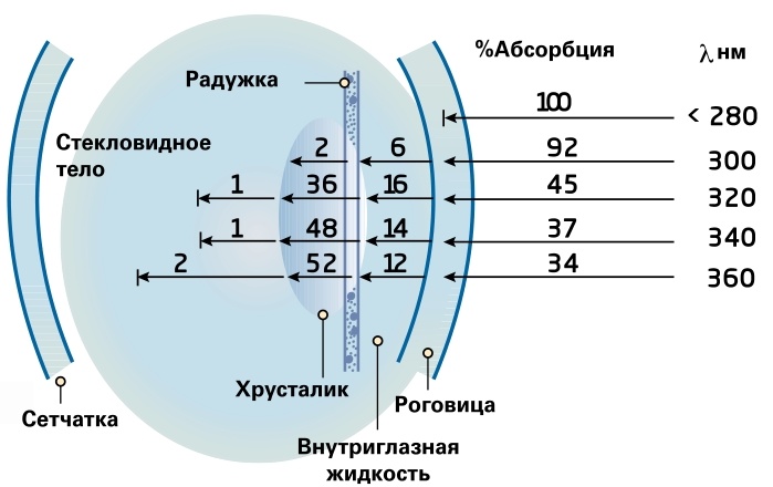 gReebok detected. Сам себе дерматовенеролог - 31