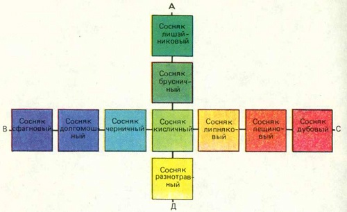 Увидеть лес за деревьями - 2