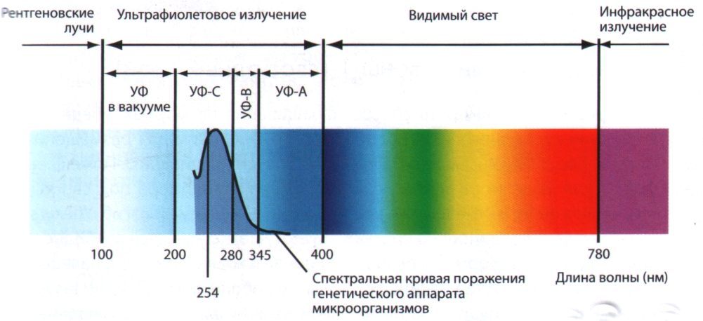 Коронавирус 2019-nCoV. FAQ по защите органов дыхания и дезинфекции - 9