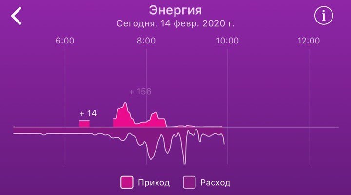 Браслет, который Путин видел: Healbe Gobe — по-прежнему единственный гаджет, который считает входящие калории - 13