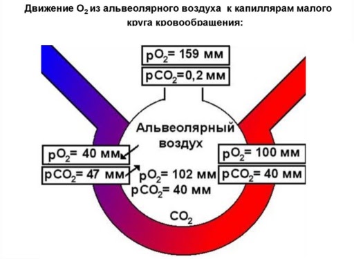 CO2, Sp02 и COVID-19: зачем нужно чаще проветривать (немного замеров) - 5