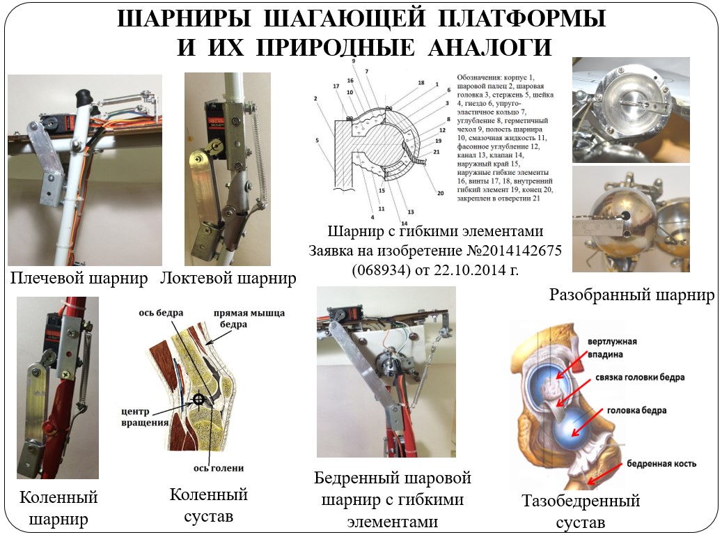 Отцы, дети и биоморфные роботы: интервью с Александрой Архиповой, героиней «Профессий будущего» - 3