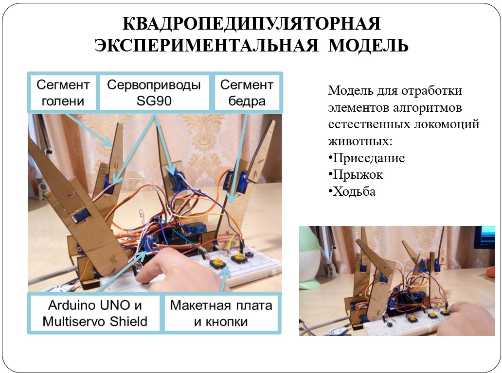 Отцы, дети и биоморфные роботы: интервью с Александрой Архиповой, героиней «Профессий будущего» - 7