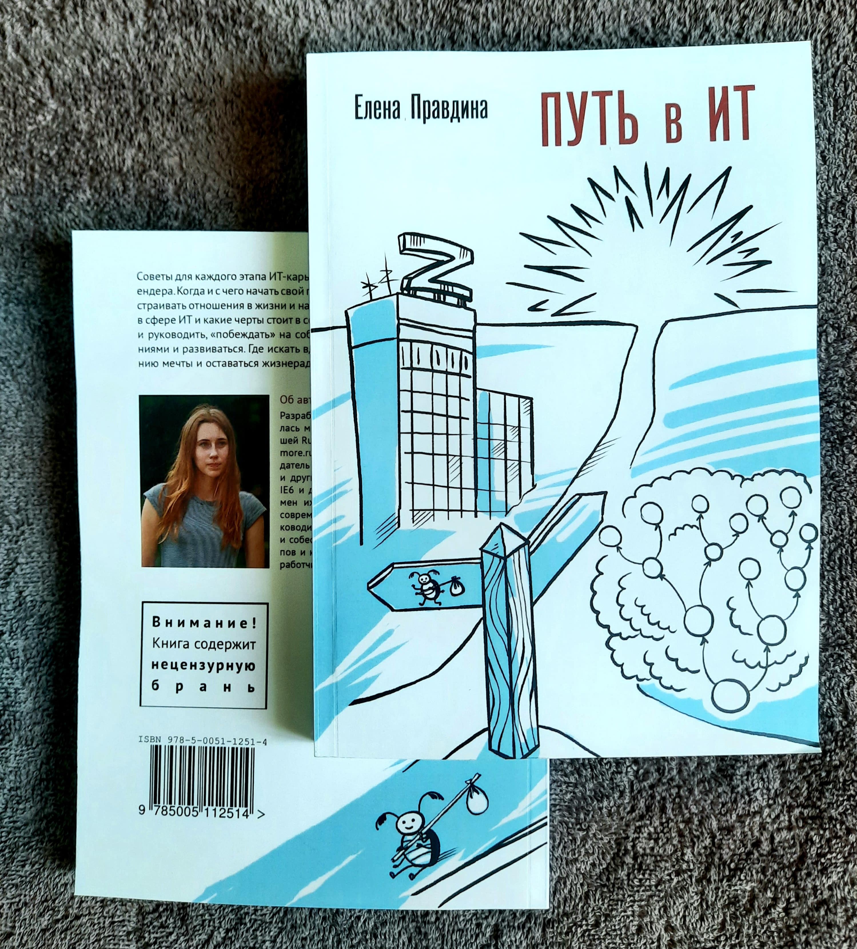 Путь в ИТ. Обложка книги