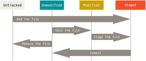 Путешествие в мир Linux и Git - 12