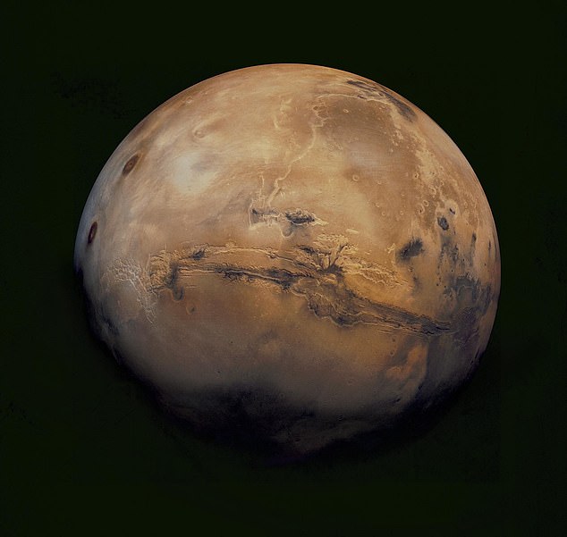 Илон Маск продаст все свое имущество и потратит около $188 млрд для колонизации Марса - 2