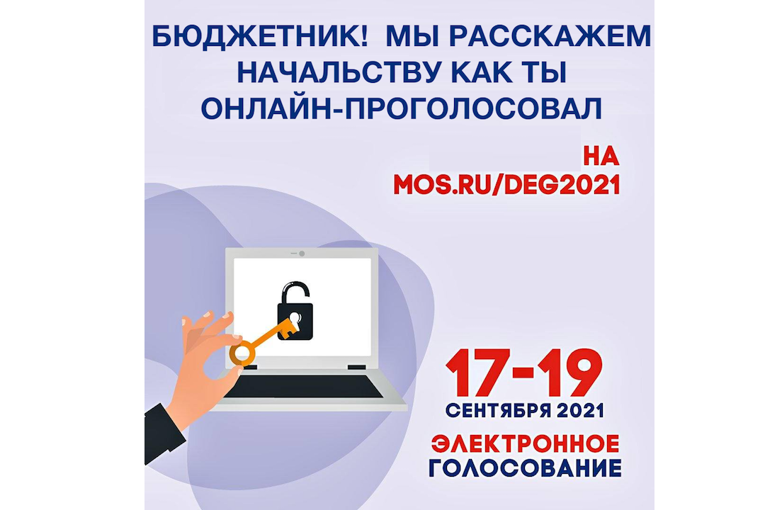 Тайны Дистанционного Электронного Голосования в России нет - 1