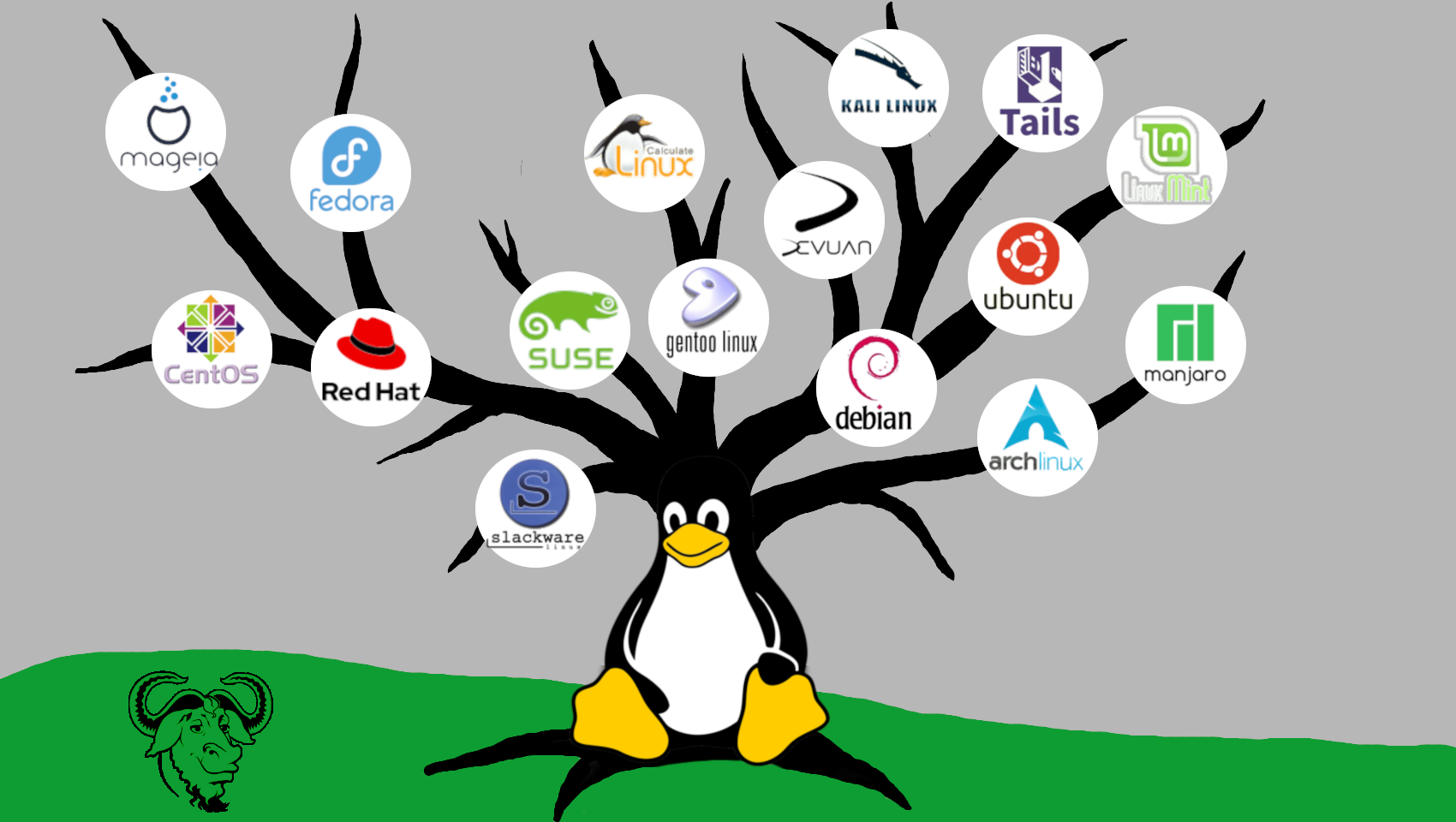 Карта дистрибутивов linux