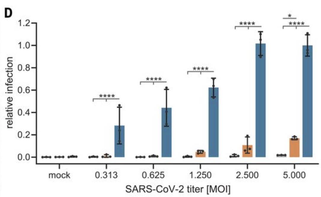 Оранжевые столбцы - группа Neuropilin-1, Синие - ACE2, серые - контрольSource: https://www.science.org/doi/10.1126/science.abd2985