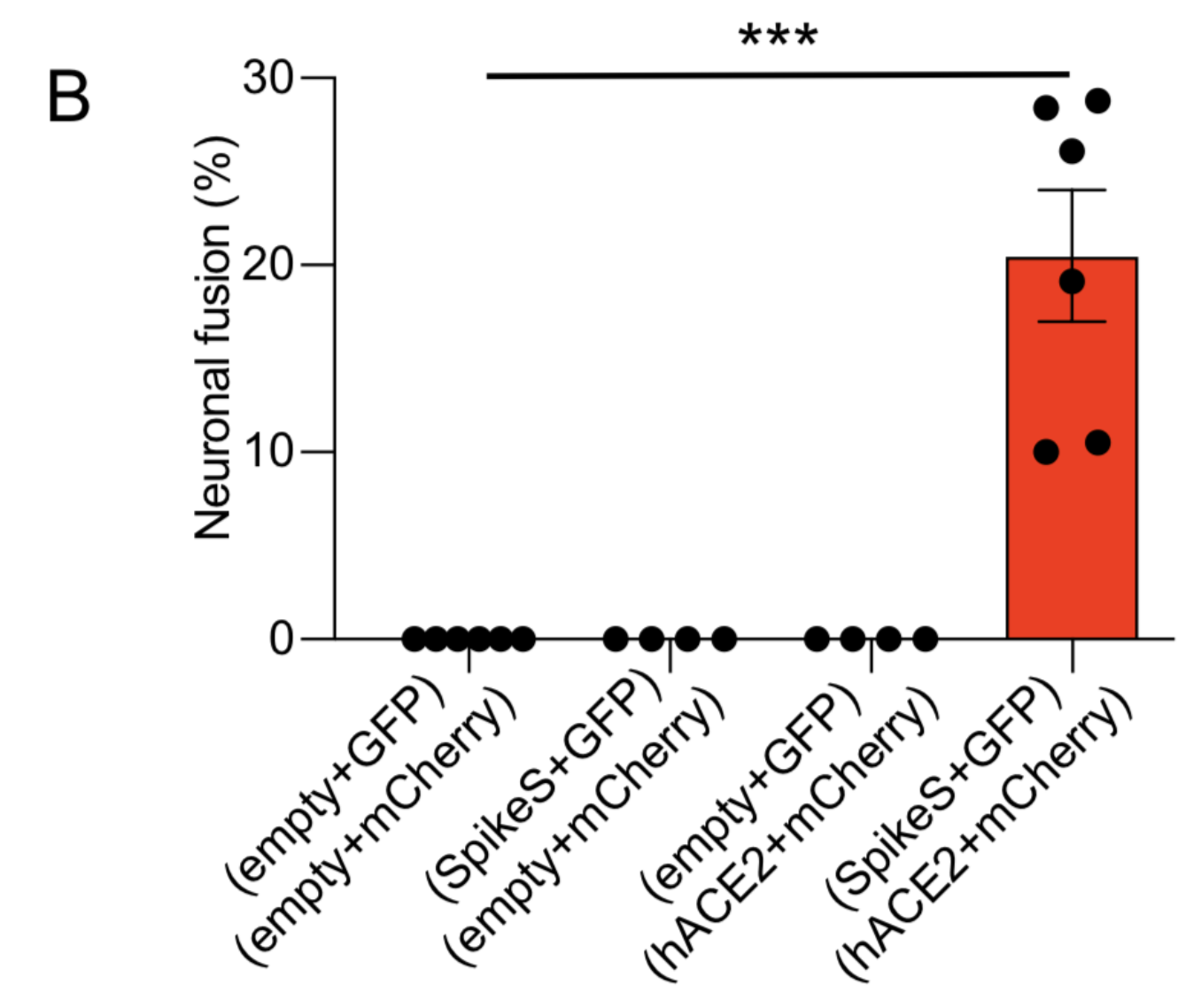 Source: https://www.biorxiv.org/content/10.1101/2021.09.01.458544v1.full.pdf+html