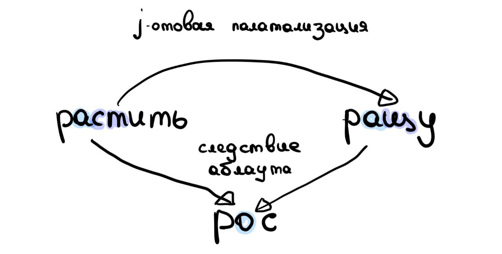 корни раст ращ и другие фото 37