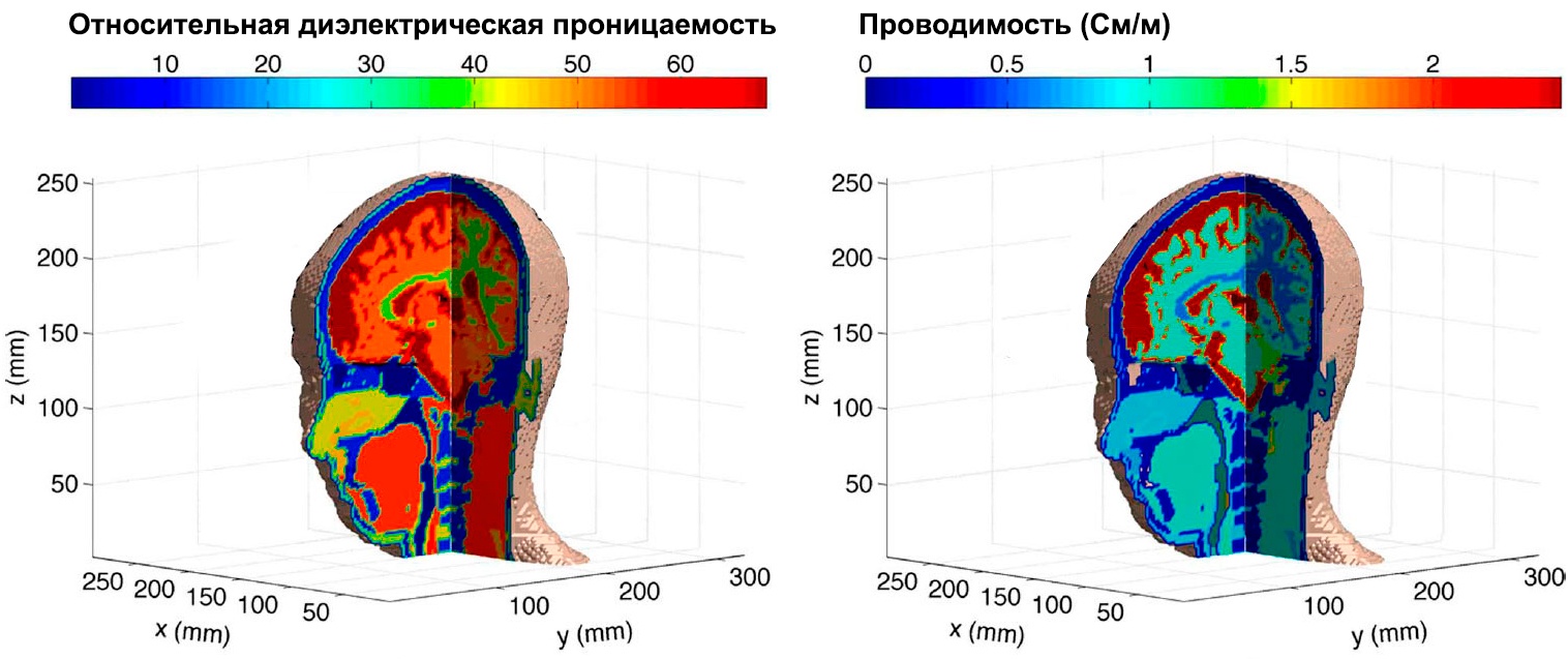 Относительная диэлектрическая проницаемость и проводимость тканей внутри человеческой головы на частоте 1 ГГц. Это модель женщины. Она была сделана много позже Джозефа и более гуманными методами (МРТ).