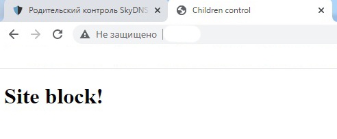 Сам себе РКН или родительский контроль с MikroTik (ч.1) - 2