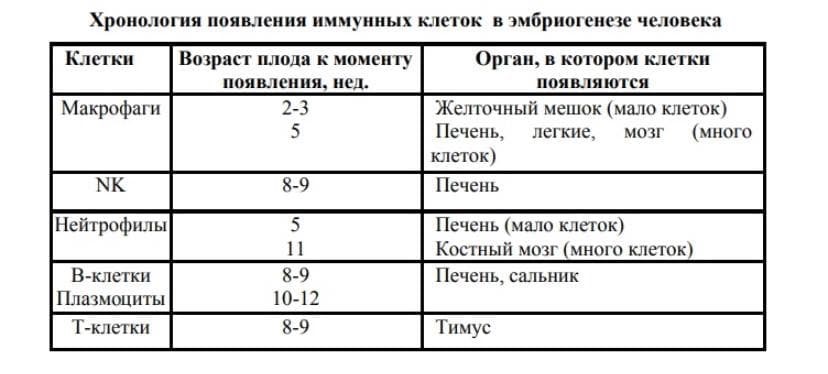 Почему у двух детей в одной семье может быть разный иммунитет - 3