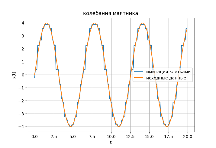 15 клеток