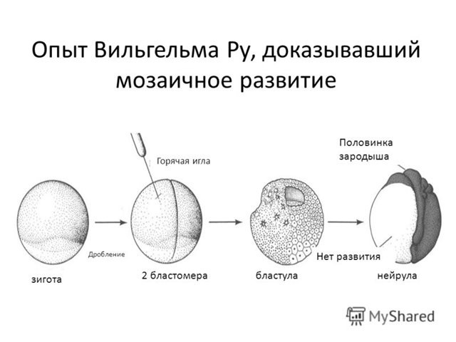 Схема опыта Ру