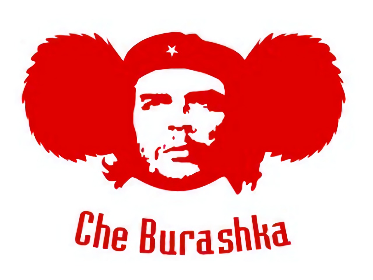 Che бурашка фото