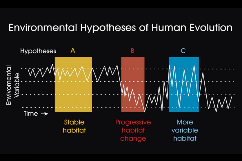 (© Copyright Smithsonian Institution)