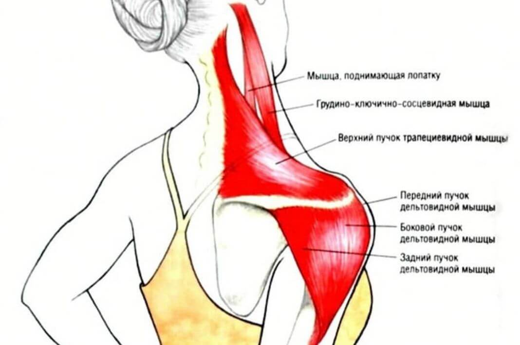 Все айтишники делают это, или почему у вас скорее всего отваливается спина - 2