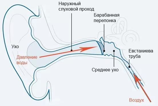 Зачем фридайверы закрывают друг другу рот рукой - 4