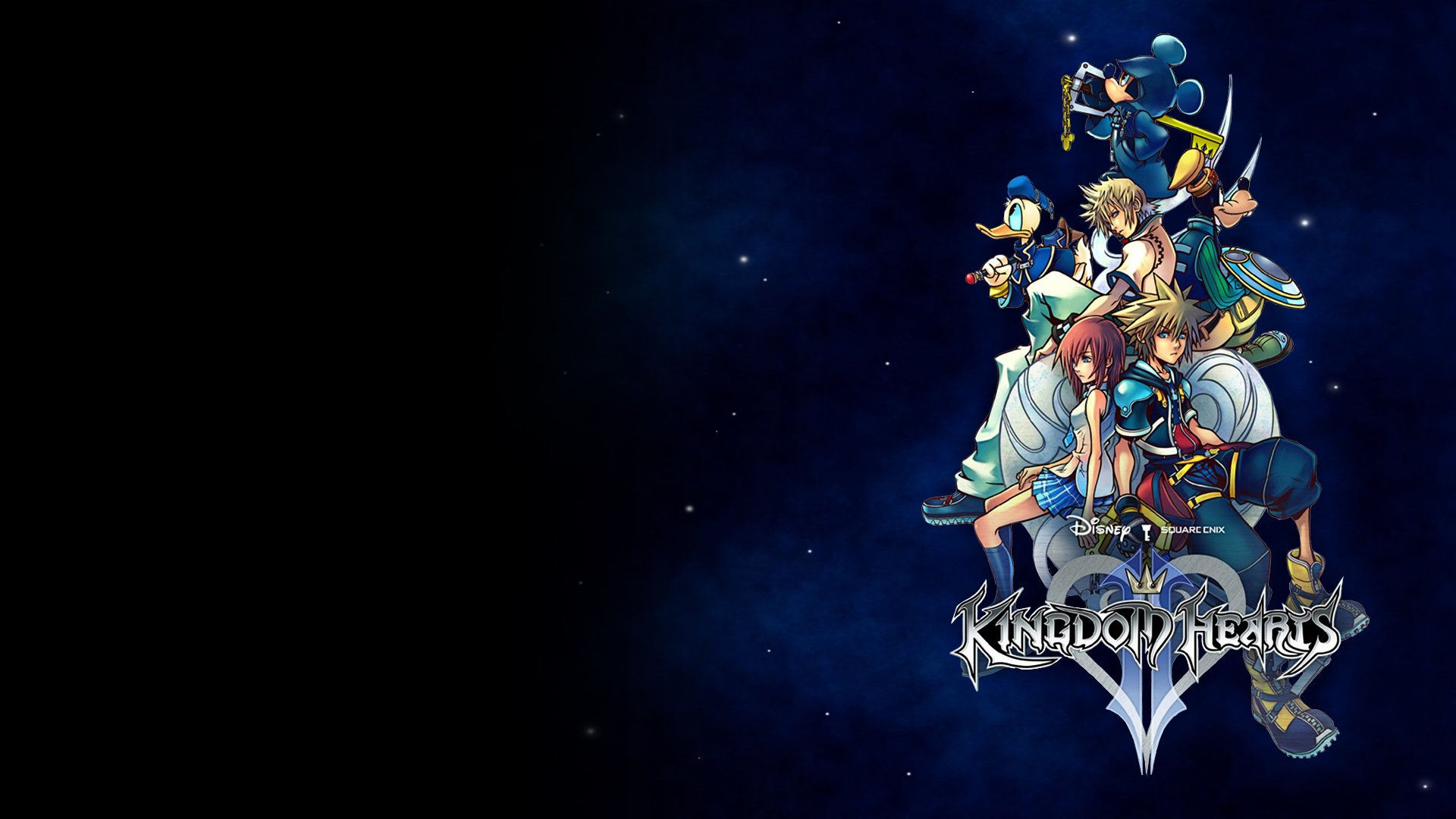 Kingdom hearts стим фото 68