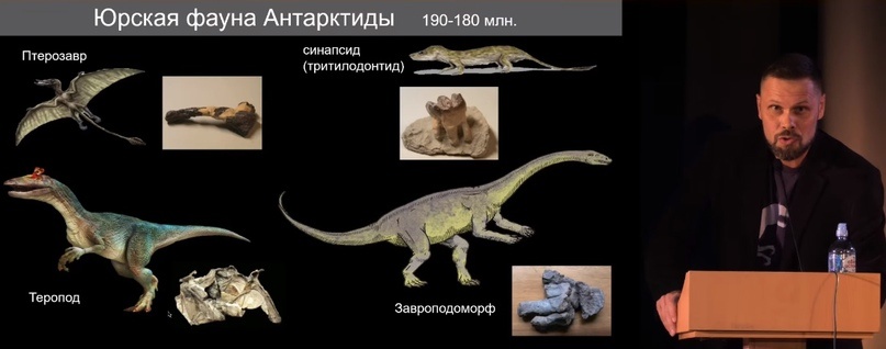 Улики Эволюции в ретроспективе. Скучас и полярные динозавры - 15