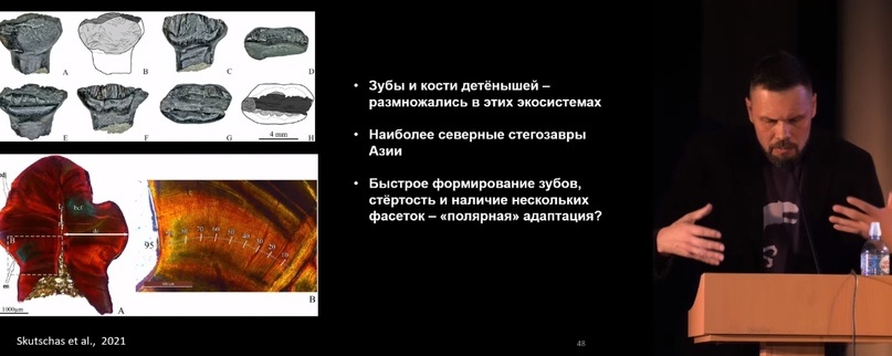 Улики Эволюции в ретроспективе. Скучас и полярные динозавры - 49