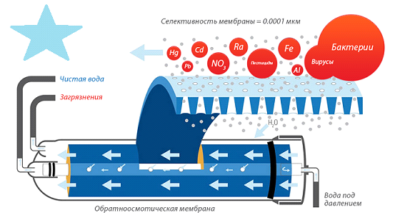 Как мы съедаем 15 тонн воды в день - 5