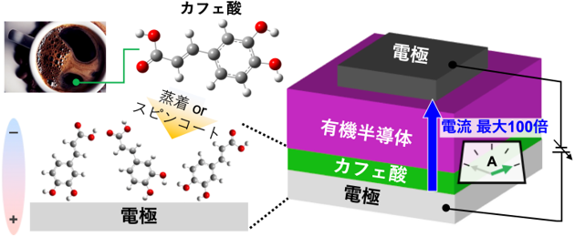 Учёные ускорили органические полупроводники с помощью кофе