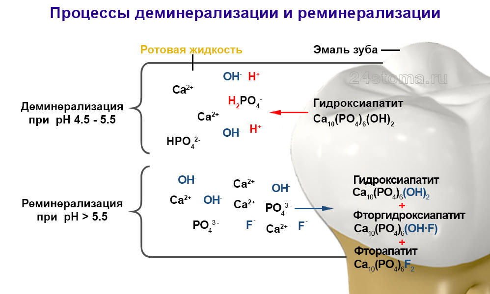 Схема образования фторида кальция