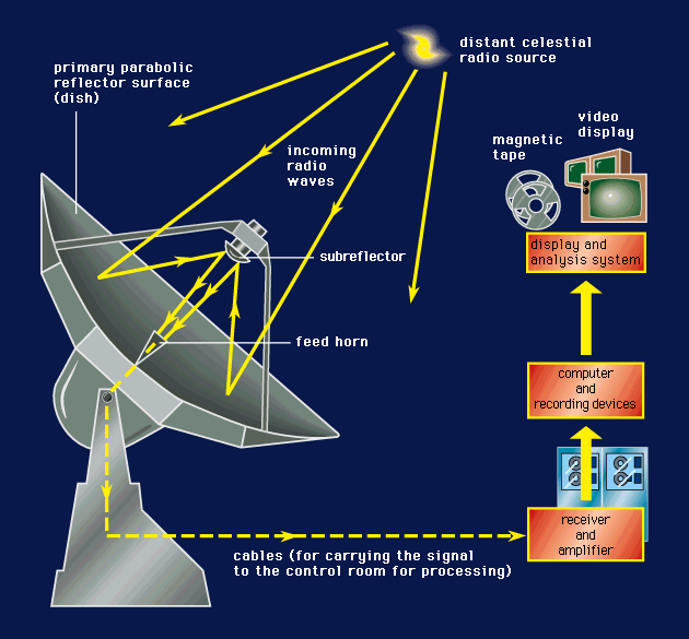 Женщины, изменившие современную науку - 6